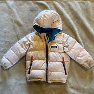 Patagonia Hi-Loft Down Hoody Jacket